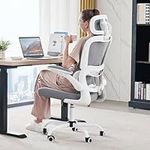 TRALT Office Chair Ergonomic Desk C