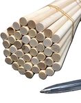 Trustleaf 10mm x 300mm Birch Hardwood Wooden Craft Sticks/Dowels - Seconds - Pack of 10 Dowels