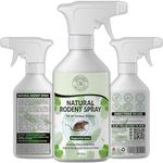 Natural Rodent Repellent Spray| Peppermint Oil Rat & Mouse Repellent | Natural Rat Repellent Spray | Peppermint Spray for Mice | Indoor Outdoor Rodent Control | How to Get Rid of Mice Naturally