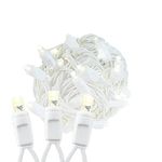 Novelty Lights 50 Light LED Christmas Mini Light Set, Outdoor Lighting Wedding Patio String Lights, Warm White, White Wire, 25 Feet