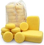 Premium Synthetic Horse Tack Sponges - with Cotton Bag; 12pc Value Pack for Saddles, Bridles, Boots and Leather Care (2x Rectangular, 10x Round) by Equus Constantia