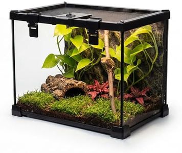 NEPTONION 20"x12"x14" Mini Reptile Glass Terrarium, Top-Opening Full-View Vivarium with Escape-Proof Lock & Feeding Door, for Small Reptiles & Inverts, Such as Crested Geckos & Arboreal Tarantulas.