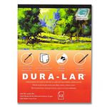 Grafix Dura-Lar 004” Film Coated to Accept Water Based Mediums, Perfect for Watercolor, Planning Compositions, Painting Surfaces or Printmaking, 9 x 12, Wet Media, 12 Count