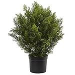 Nearly Natural 2ft. Cedar Artificial Bush (Indoor/Outdoor)