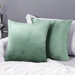 Deconovo Set of 2 Home Decoration Crushed Velvet Cushion Covers 45cm x 45cm 18x18 Inches Throw Pillow Cases Plain Cushion Covers for Teen Girls with Invisible Zipper Mint Green