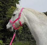 Rhinegold Unisex's Carnival Headcollar & Rope, Bright Pink, Full