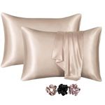 GO WELL Satin Pillowcase for Hair and Skin, Silk Satin Pillowcase 2 Pack, Queen Size Pillow Cases Set of 2, Silky Pillow Cover with Envelope Closure (18x28, Champagne) 600 TC