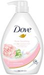 Dove Rose 