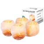 Nevlers 2.5 lbs 4 Pack Natural Himalayan Salt Tea Light Candles Holder | Great Room Decor | Gift Ideas