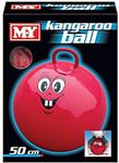 Kangaroo Ball Space Hopper