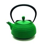 NANBU ironware Teapot Hakeme 0.5L Green 　　from JAPAN