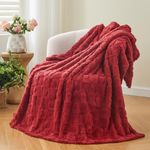 NEWCOSPLAY Super Soft Throw Blanket Red Premium Silky Flannel Fleece 3D Heart Checkered Lightweight Bed Blanket All Season Use (Red Heart, Throw(50"x70"))