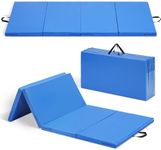 Gymnastics Mat 3'x6'x2'' Exercise M