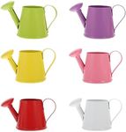 Mini Watering Can: 6pcs Metal Decor