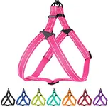 CollarDirect Reflective Dog Harness