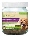 PET NATURALS, Multi Vitamins for Dogs, Daily Multivitamin with 24 Healthful Nutrients, 90 Bite-Sized Chews Brown