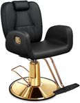 Baasha Ergonomic Reclining Salon Ch