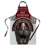 Bang Tidy Clothing Funny Christmas Cooking Apron for Women & Men Novelty Xmas Stuffed Turkey