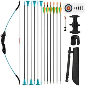 SERfawnCH 15lbs Recurve Bow and Arrow Set for Beginners, Left & Right Handed Youth Archery Kit with 12 Arrows & 6 Targets, Outdoor Practice Bow (Blue)