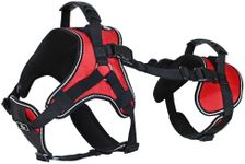 Doggie Stylz Multi-Functional Full-