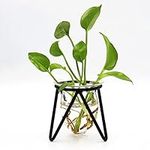 Plant Terrarium with Metal Stand, D