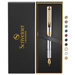 Scriveiner Silver Chrome Fountain Pen (Fine), Award Winning Luxury Pen, Heavy Pocket Pen with 24K Gold Finish, Schmidt Nib, Converter, Best EDC Writing Pen Gift Set for Men & Women, Nice Fancy Pen