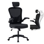 OWAY HOMELIVING Ergonomic Office Chair for Home with Lumber Support Adjustable High Back Desk Chair with Flip-Armrest and Mesh Back Computer Chairs Black