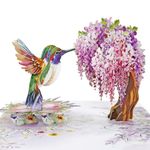 CUTPOPUP Humming Bird Card - Birthday Cards for Women, Sister Birthday Card, Mum Birthday Cards, Mothers Day Card, 3D Card (Hummingbird Wisteria) US8-AN162UK