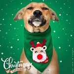 That Dog In Tuxedo Rudolf Reindeer Christmas Dog Embroidered Bandana with Adjustable/Removable Dog Collar -XL