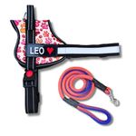 Pet King Personalized No-Pull Dog Harness with Leash – Custom Dog Name & Phone Number Adjustable Reflective Vest for All Breeds Size – Easy Control & Comfortable. (REDPAW, XS(2.5-5 KGs))