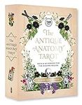 The Antique Anatomy Tarot Kit: Deck