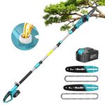 Seesii 8&10-Inch Electric Pole Saw: 15ft Long Reach Coldless Chainsaw with Telescopic Pole, 4Ah Battery, Auto-Oiling, Tool-Free Adjustment, Pruning Saw for Wood Cutting and Tree Trimming
