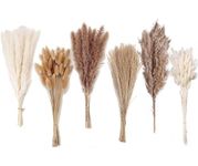 Dried Pampas Grass Decor, 120 PCS Pampas Grass with Bunny Tails Dried Flowers, Reed Grass Bouquet for Wedding, Boho Flowers, Home Table Decor, Rustic Farmhouse Party (White and Brown) 125