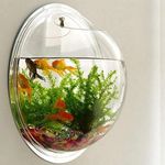 DDSS Wall Mount Hanging Acrylic Aquarium Bowl for Small Guppi Fish/Plants Plants Acrylic (9 INCH Dia, Clear)