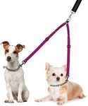 Nasjac Double Dog Lead Splitter, Li
