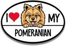 Magnet Me Up I Love My Pomeranian Dog Breed Car Magnet Decal, 4x6 inches, Cute and Adorable Playmate, Alert and Intelligent, Ideal Present for Pomeranian Owners and Enthusiast, for Car, Made in USA