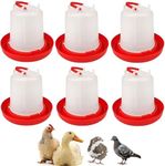 6 Pack 3L Chicken Water for Brooder – Poultry Drinker | Water Dispenser for Chicks, Ducks, Quail, Pigeons, and Backyard Coop Use