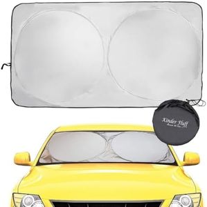 Windshield