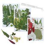 64 PCS Real Dried Pressed Leaves with Tweezers, Natural Dried Leaves for Resins, Nails, Candles Decorations, Pendants, Jewelry Crafts Making