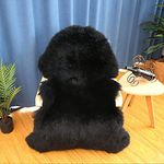 WL&ALLEN Large Sheepskin Rug Genuine Thick and Lush 3 Inch Pile，Luxury Australian Pelts |Large Sheepskin Wool Area Rugs(Large Single Pelt 2'6" x 3'7"，Black)…