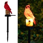 Juliahestia Cardinal Garden Decor Red Bird Figurine Memorial Solar Light Outdoor Stake Patio Yard Lawn Porch Cute Christmas Decorations Outside Mother Day Gift Mom Grandma Women