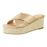 PIZZ ANNU Womens Platform Sandals Wedge Espadrille Slip on Crossover Slides Ladies Open Toe Summer Chunky Shoes Size 3 Champagne