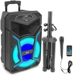 Portable Bluetooth PA Speaker Syste