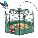 Kingsyard Squirrel-Proof Bird Feeder for Outdoor Hanging - Rugged Recycled Plastic Feeding Station with Metal Mesh Tray, Special for Small Birds. Green