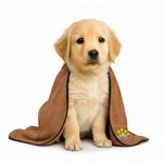 SOFTSPUN Microfiber Pet Towel 40x60cms 1pcs 380gsm Brown! Ultra-Absorbent for Drying Pets Quickly. Quick-Drying, Machine Washable, Ultra-Soft for Small Dogs & Cats of All Breeds.