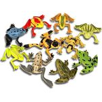 Assorted Colorful Frogs Party Pack - 8 Pieces - Perfect For Kids' Birthday Party & Events