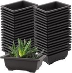 SEUNMUK 30 PCS 6.5 Inch Plastic Bonsai Training Pots, Thicken Rectangular Plastic Growing Pots, Flower Succulent Pots Container, Bonsai Plants Growing Pot for Home, Office, Balcony, Garden and Yard