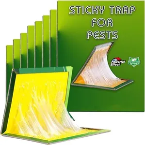 Mouse Trap
