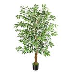 GTIDEA 5ft Ficus Tree Artificial, Tall Fake Tree with Natural Trunk Faux Trees Indoor Silk Ficus Leaves Artificial Trees for Home Decor Indoor Office Living Room Outdoor (Included Dried Moss)