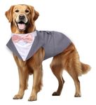 Buraq Pets Dog Tuxedo Dress Suit Bandana Set, Bow tie, Wedding Party Suit, for Small Medium Large, Male and Female Dogs Golden Retriever, Labrador, shitzu, Pug (L - Grey)